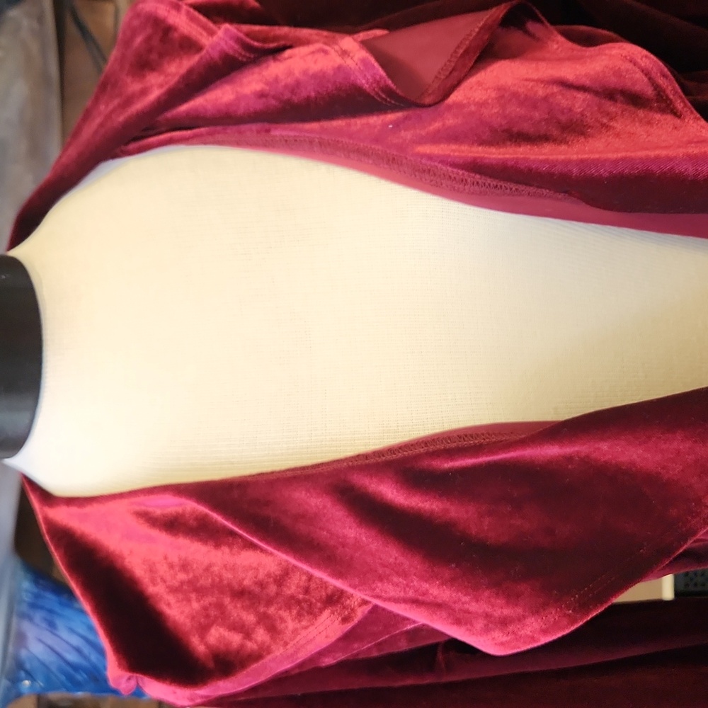 Whimsy Castlecore Maroon Velvet Ruffled Jacket Size Large On Trend Fairy Witchy - Picture 2 of 11